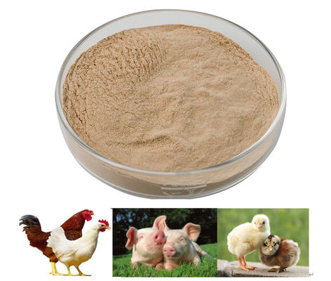 Habio Protease Feed Grade Peptide Splitting Enzyme with High Stability