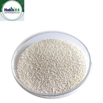 Animal Feed Additives Xylanase Granule For Poultry and Livestock