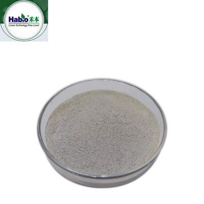 200000U/G Catalase Enzyme FDA Certified Remove Hydrogen Peroxide Before Dyeing