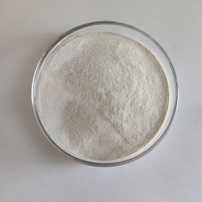 Habio Alpha Galactosidase 10,000 U/G Powder Feed Additives For Soybean Meal Processing And Animal Breeding