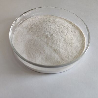 Factory Supply Advanced α-Galactosidase for Soybean Meal Digestibility and Intestinal Health