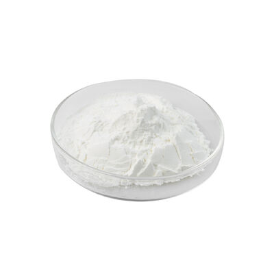 Xylanase Enzyme