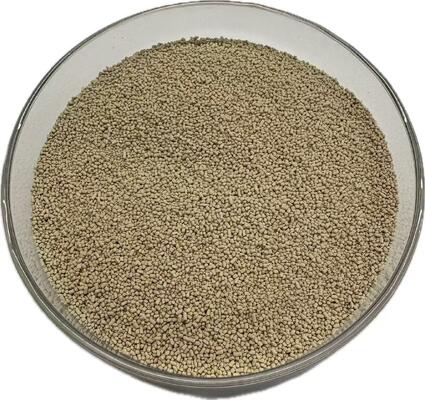 Animal Feed Lipase Enzyme for Improved Fat Digestibility and Energy Utilization | LIPOZYME
