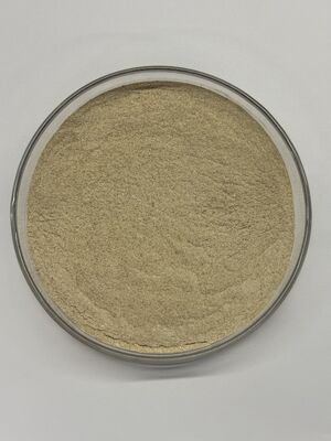 BP100 Powder Animal Feed Protease Enzyme for Improved Protein Digestibility and Gut Health