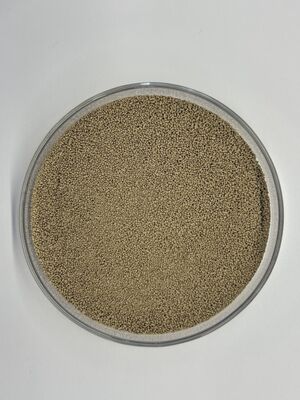 High-Stability Feed Protease Enzyme for Protein Utilization and Amino Acid Digestibility | BP100
