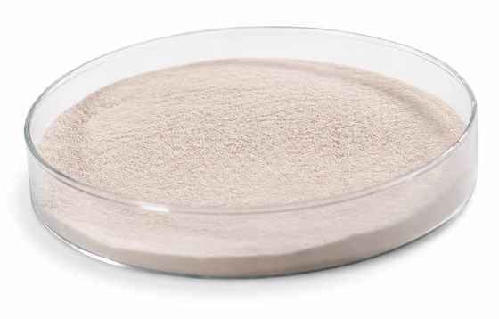 High-Activity Acid Protease Enzyme for Low-pH Protein Hydrolysis | Habio Acid Protease