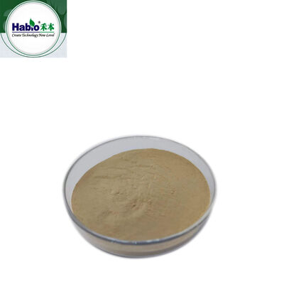 Protease Enzyme Powder & Granule