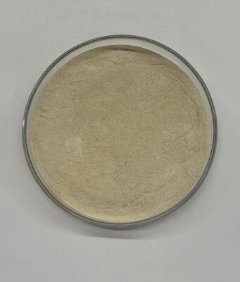 High Activity Feed Phytase Enzyme 300,000U for Improved Phosphorus Utilization and Feed Efficiency