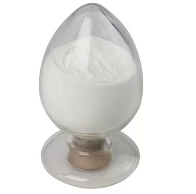 Feed Xylanase Enzyme for Improved Nutrient Digestibility and Feed Efficiency | Habio Xylanase