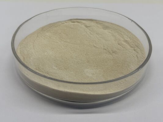 Advanced Xylanase Technology for Modern Animal Nutrition