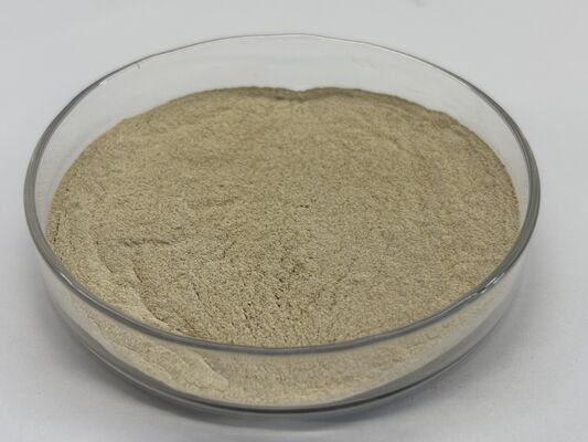 Feed Grade Alkaline Protease Enzyme 1,000,000 U/g for Improved Protein Digestibility and Feed Efficiency