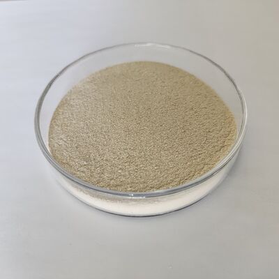 Habio Acid Protease Powder 300,000U/g High Efficiency Acid Proteolytic Enzyme