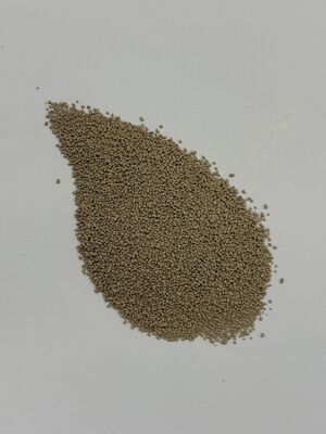 BP100 Granule Protease Enzyme for Improved Protein Digestibility Animal Feed Additive 