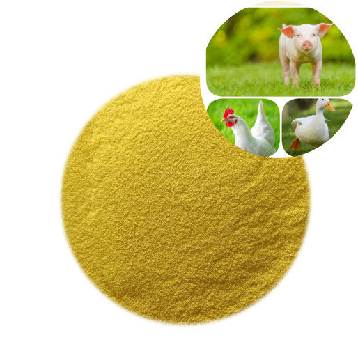 Poultry Nutrition GOD Glucose Oxidase Enzyme Powder Feed Additives
