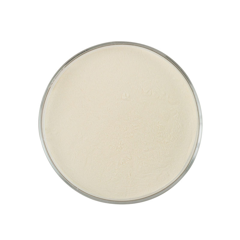 Enhance Your Industrial Processes with Odorless Lipase Protein Enzyme