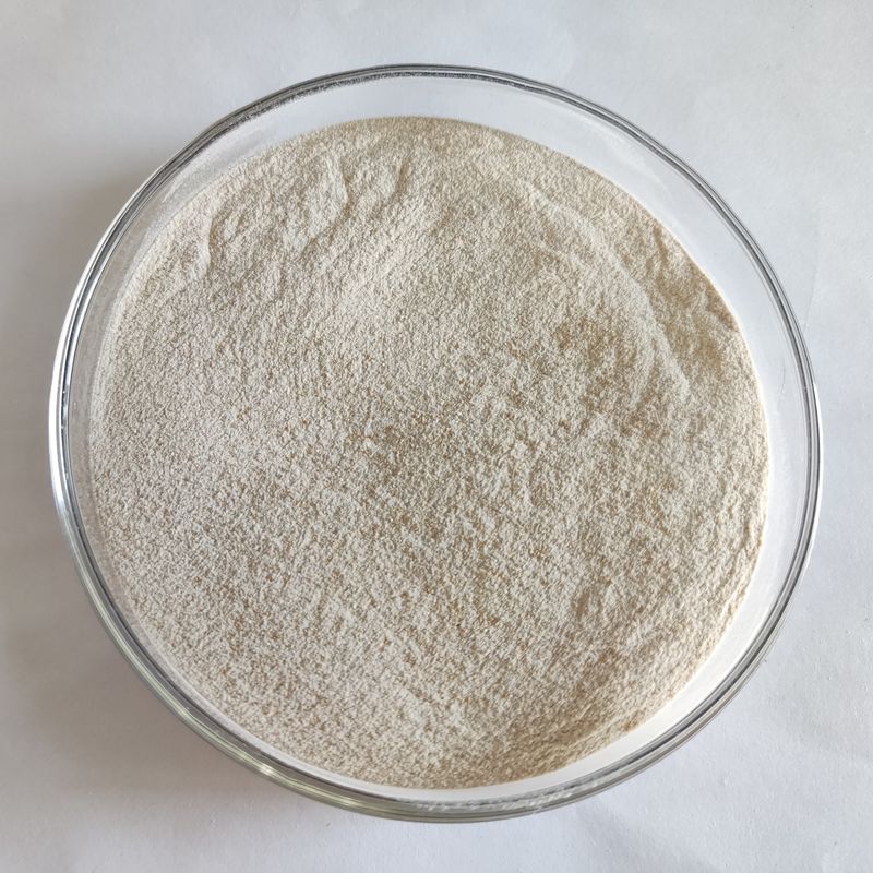 Enzymatic Lipase Powder 50,000-200,000 Microbe Fermentation Lipase Enzyme