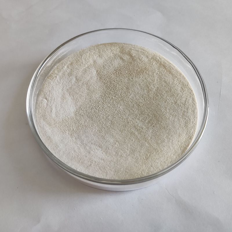 Enzymatic Lipase Powder 50,000-200,000 Microbe Fermentation Lipase Enzyme