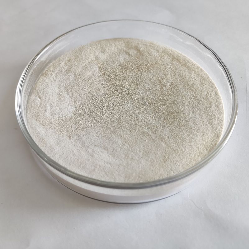 20,000u/g Industrial Alpha Amylase Powder For Textile Desizing