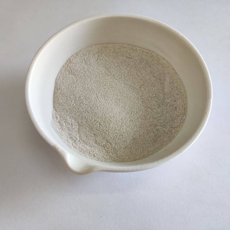 Feed Grade Catalase: High-Performance Enzyme for Livestock Health