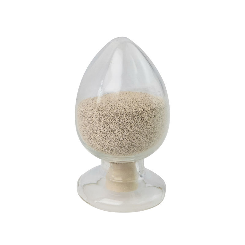 Feed Grade Catalase: High-Performance Enzyme for Livestock Health