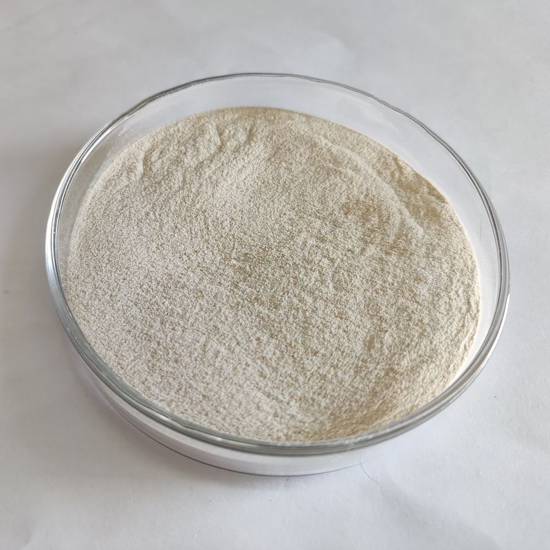 Enzymatic Lipase Powder 50,000-200,000 Microbe Fermentation Lipase Enzyme