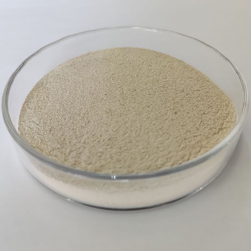 High Efficiency Habio Acid Protease Acid Proteolytic Enzyme 100,000U/G Digestive Enzyme Powder