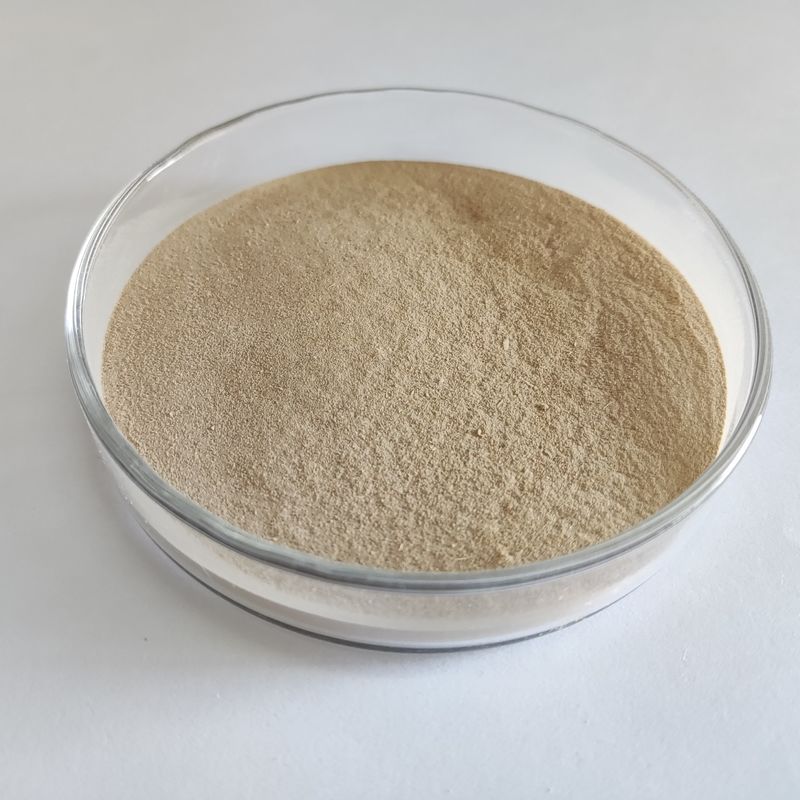 BP 100 Protease Enzyme with High Thermostability Improve Protein Utilization in Animal Feed