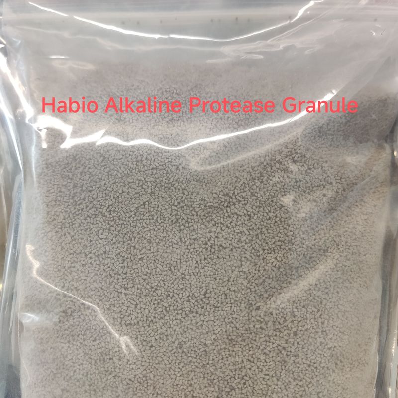 High-Stability Feed Grade Alkaline Protease for Protein Hydrolysis and Amino Acid Release