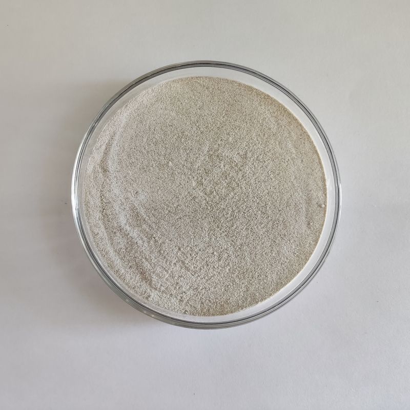 Feed Grade Catalase: High-Performance Enzyme for Livestock Health