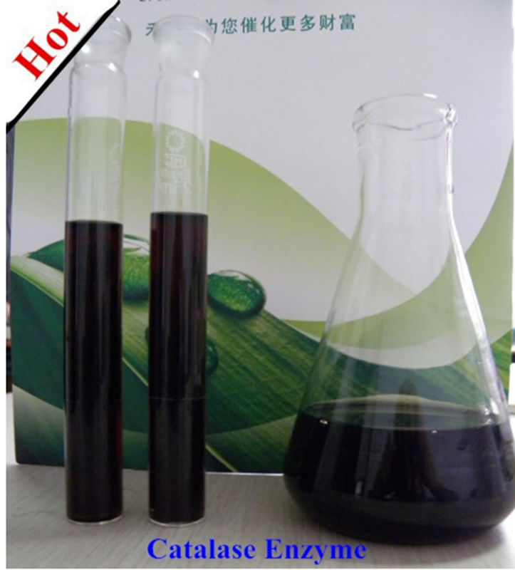 Factory Supply Hot Sale Habio Catalase Enzyme 600,000u/G Reduce Hydrogen Peroxide