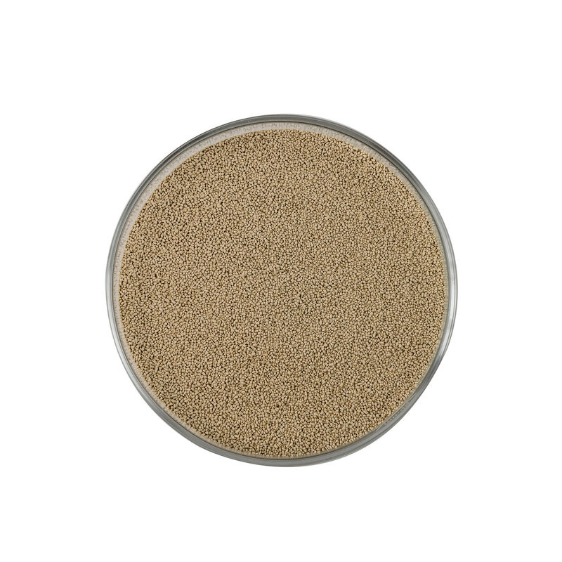 Feed Grade NSP Cocktail Enzyme Powder for Animal Nutrition Improve Feed Digestibility