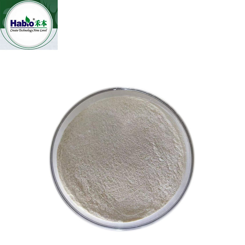 Animal Nutrition Feed Additive Alkaline Protease Powder 500,000U/g