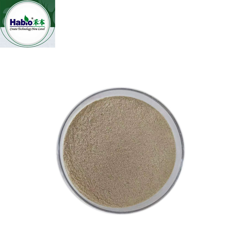 Animal Feed Additive Acid Protease Powder 100,000U/g