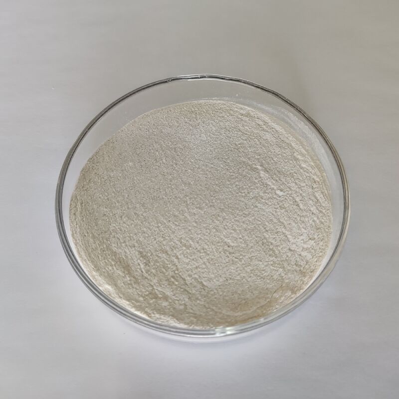 Feed Grade Alkaline Protease Enzyme Powder 1,000,000 U/g with High Efficiency Protein Degradation and Stable Enzymatic Properties