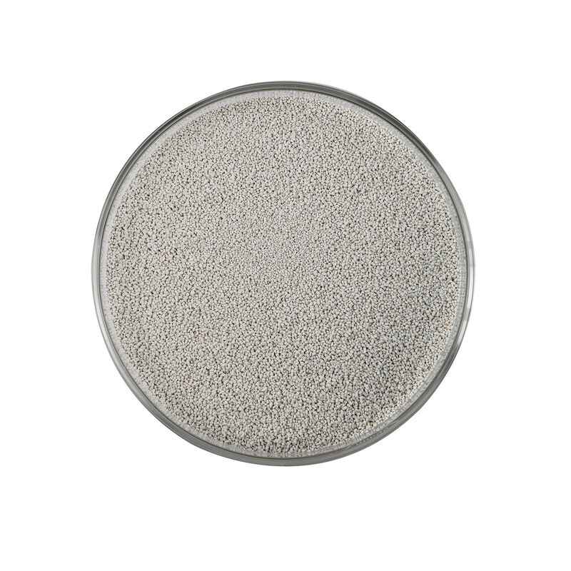 Phytase Enzyme