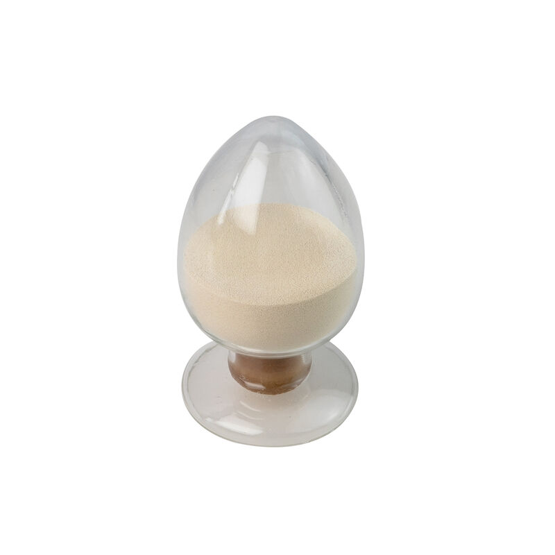 Phytase Enzyme