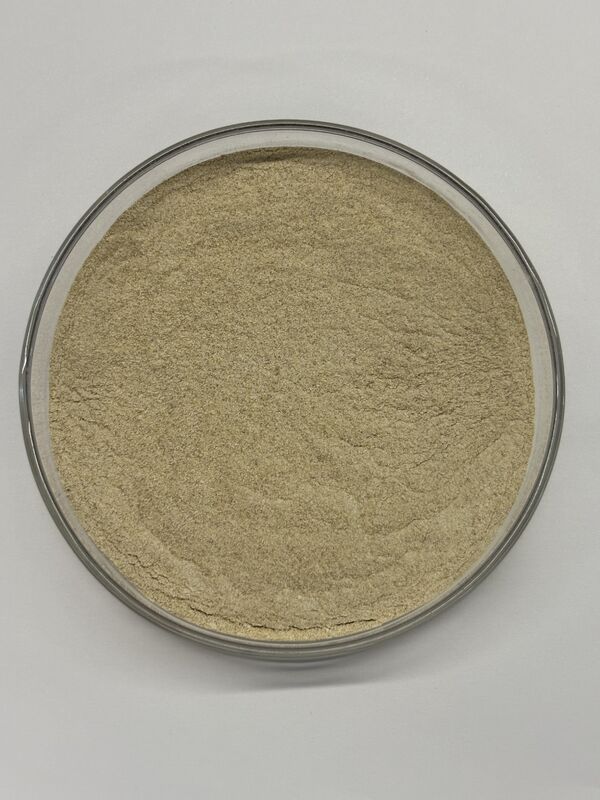 High-Stability Feed Protease Enzyme for Protein Utilization and Amino Acid Digestibility | BP100