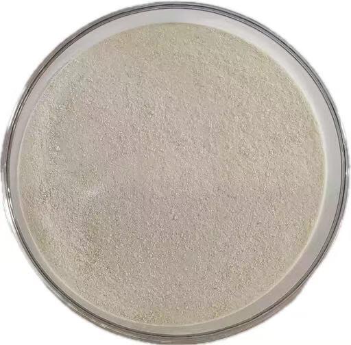 Animal Feed Keratinase for Alternative Protein Utilization and Feed Cost Reduction | Habio Keratinase