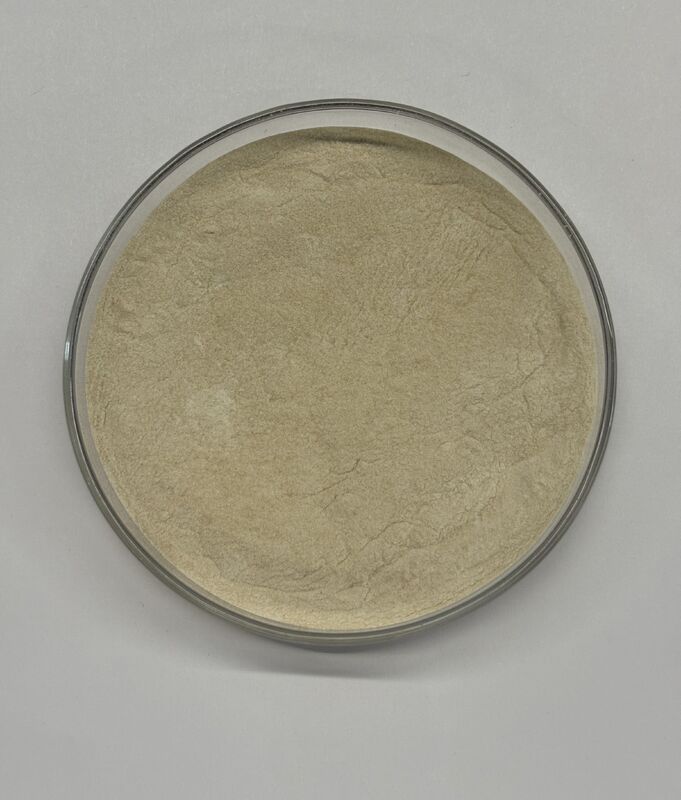 High Activity Feed Phytase Enzyme 300,000U for Improved Phosphorus Utilization and Feed Efficiency