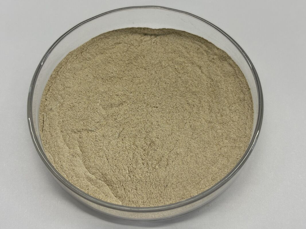 Advanced Feed Protease for Better Protein Utilization and Reduced Feed Cost CAS No. 9014-01-1