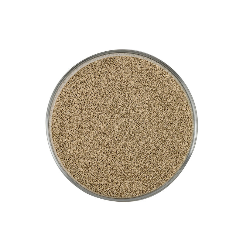 Complex Enzyme Powder & Granule
