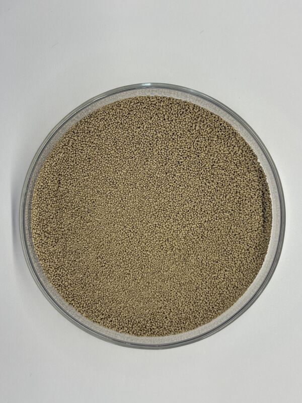 BP100 Granule Protease Enzyme for Improved Protein Digestibility Animal Feed Additive 