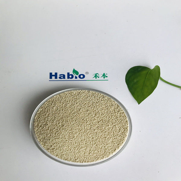 200000U/G Lipase Powder High Thermostability For Food Feed Industry
