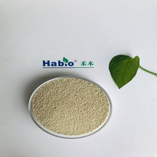 Habio Lipozyme Enzyme Feed Additive For Animal Skin Condition