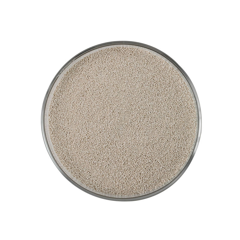Combinatorial Xylanase Straw Yellow Granule Cas 37278-89-0 for Premix