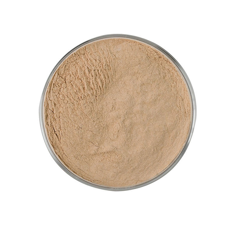 A Specially Designed Feed Grade Protease (BP 100) Protease Enzyme with Excellent Solubility for Industrial Requirements