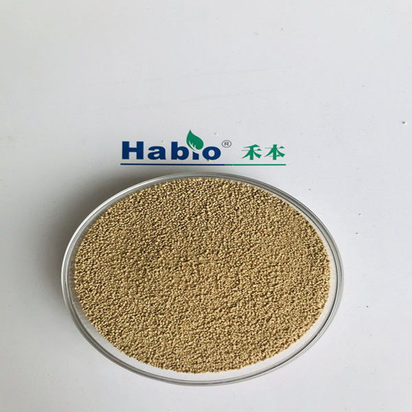 Premix Feed Enzymes with NSP Enzyme Brown Yellow Granule For Premix High Activity