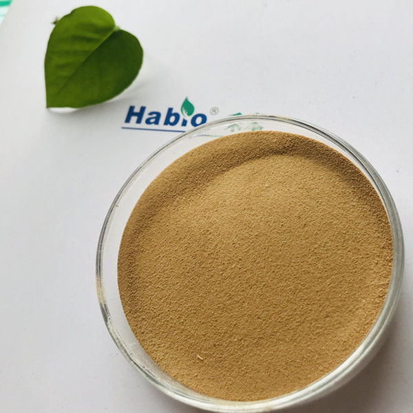 10000U Feed Grade Thermostable Alpha Amylase Powder With ISO9001