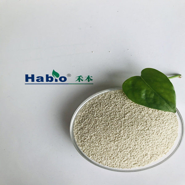 10000U/G Digestive Xylanase Enzyme Improving Nutrients Utilization Rate
