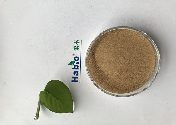 400000U Fungal Cellulase Enzyme High Stability Balancing Intestinal Flora